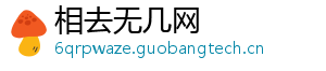 相去无几网